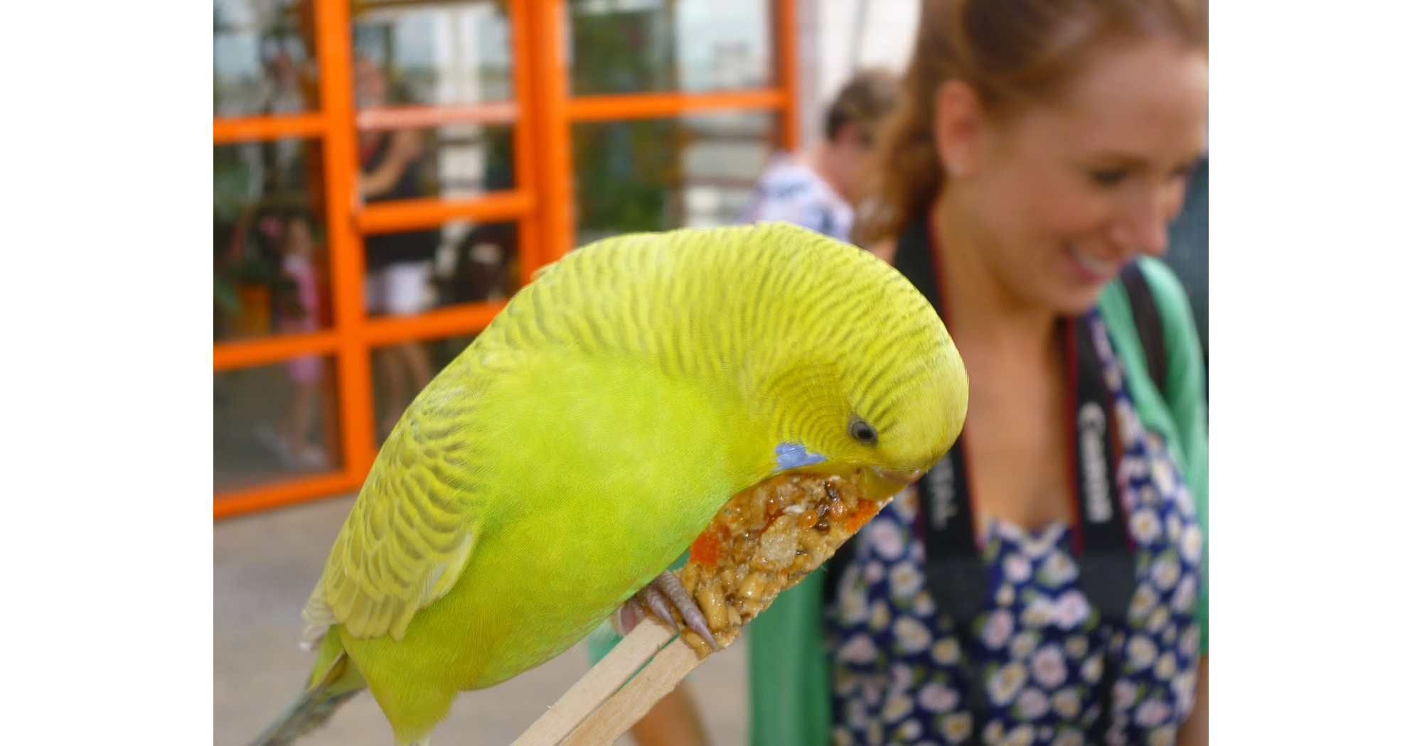 Audubon Aquarium | Parakeet Point