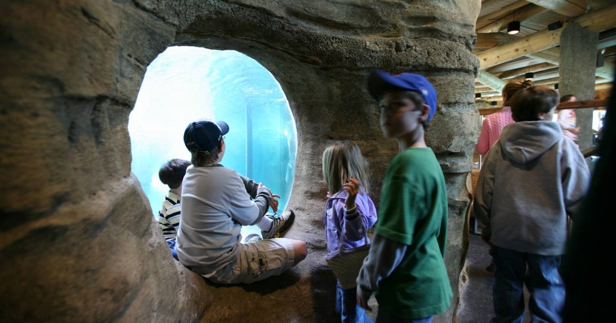 Memphis Zoo | Northwest Passage