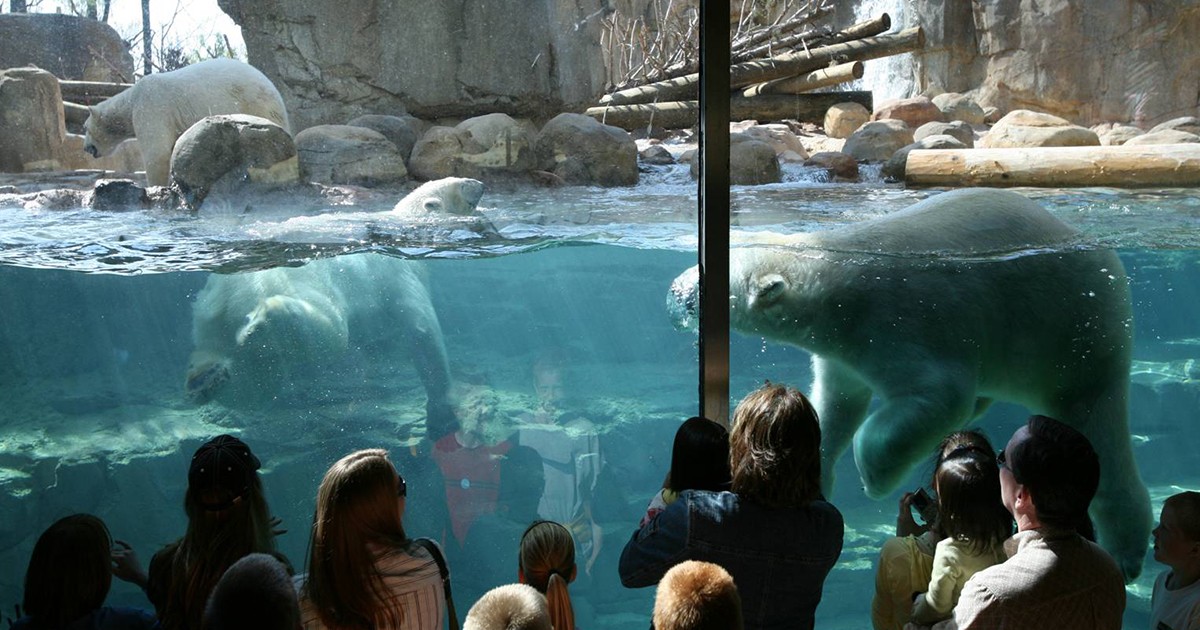 Featured: Memphis Zoo