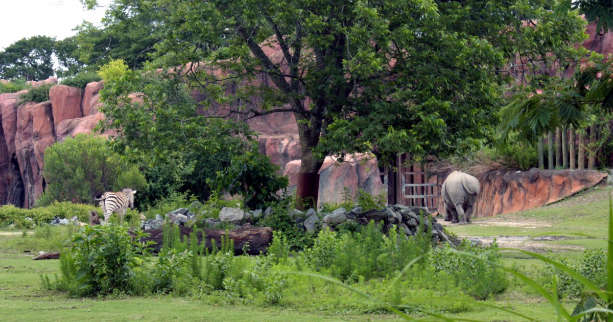 Virginia Zoo | Okavanga Delta