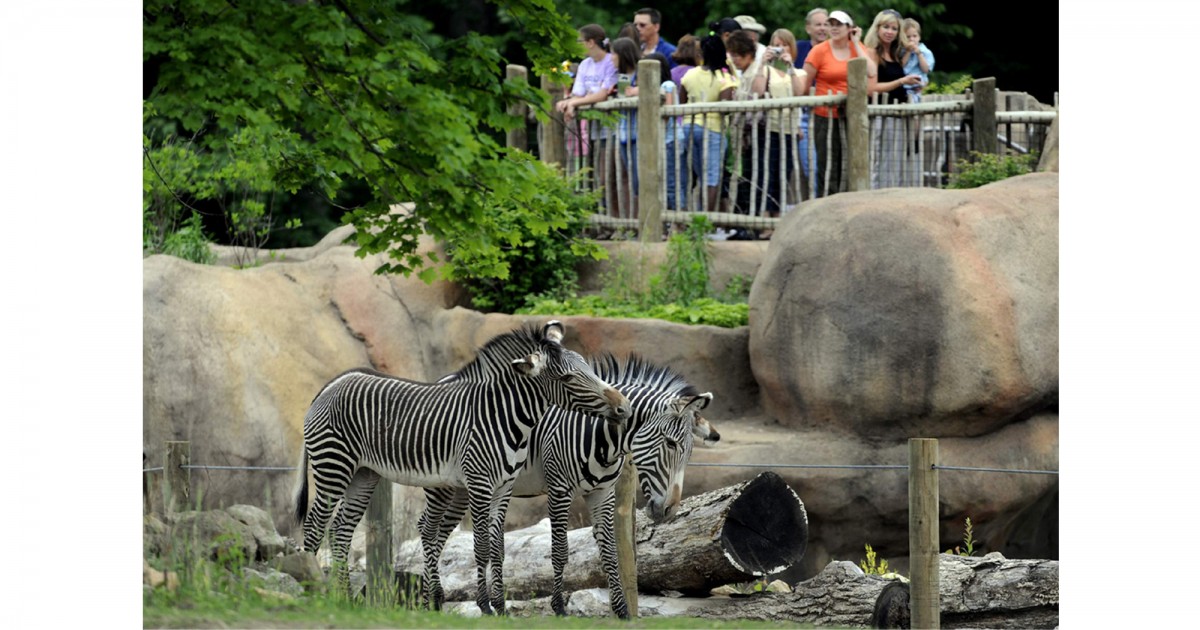 Peoria Zoo | Africa