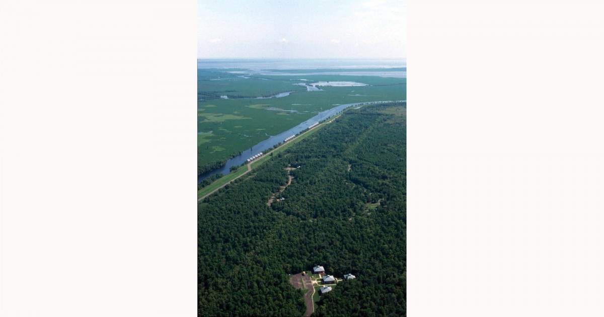 Bayou Segnette State Park