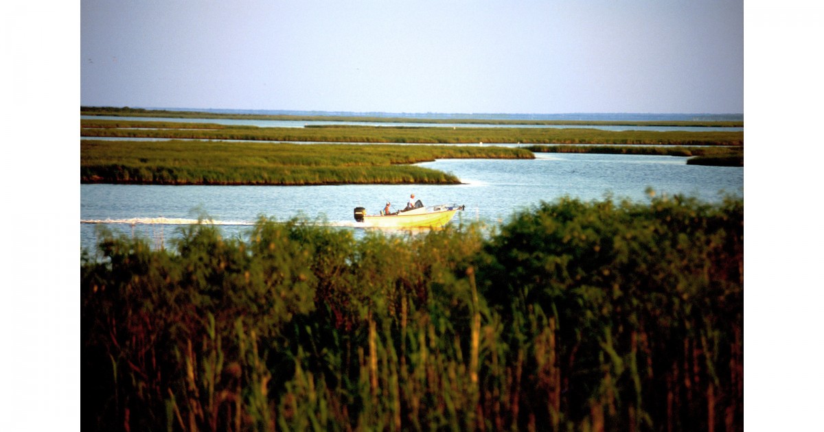 Bayou Sauvage NWR