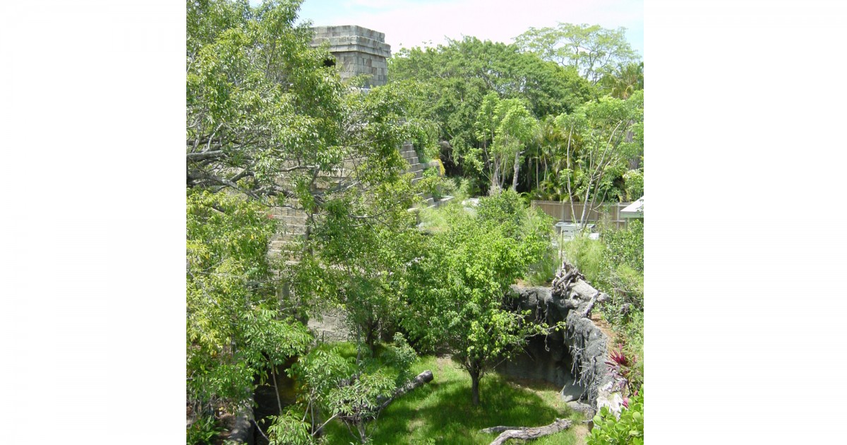 Palm Beach Zoo | Tropics of the Americas