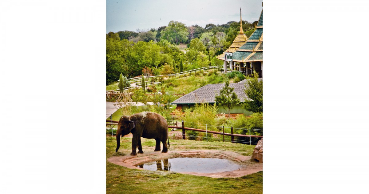 Oklahoma City Zoo | Expedition Asia