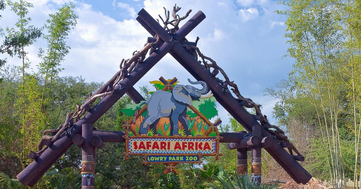 Tampa's Lowry Zoo | Safari Africa