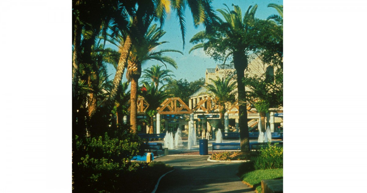 Tampa's Lowry Zoo | Entry