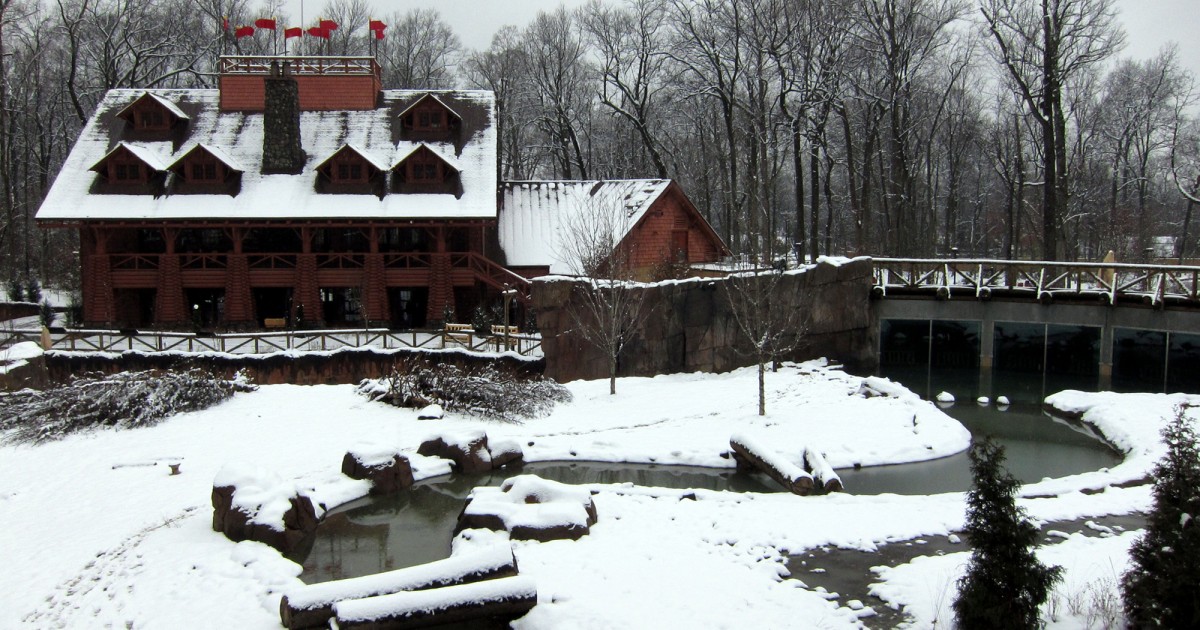 Memphis Zoo | Teton Trek