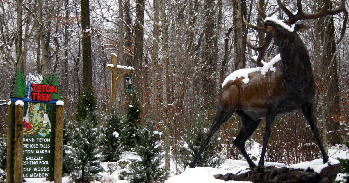 Memphis Zoo | Teton Trek