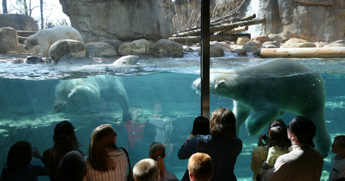 Memphis Zoo | Northwest Passage