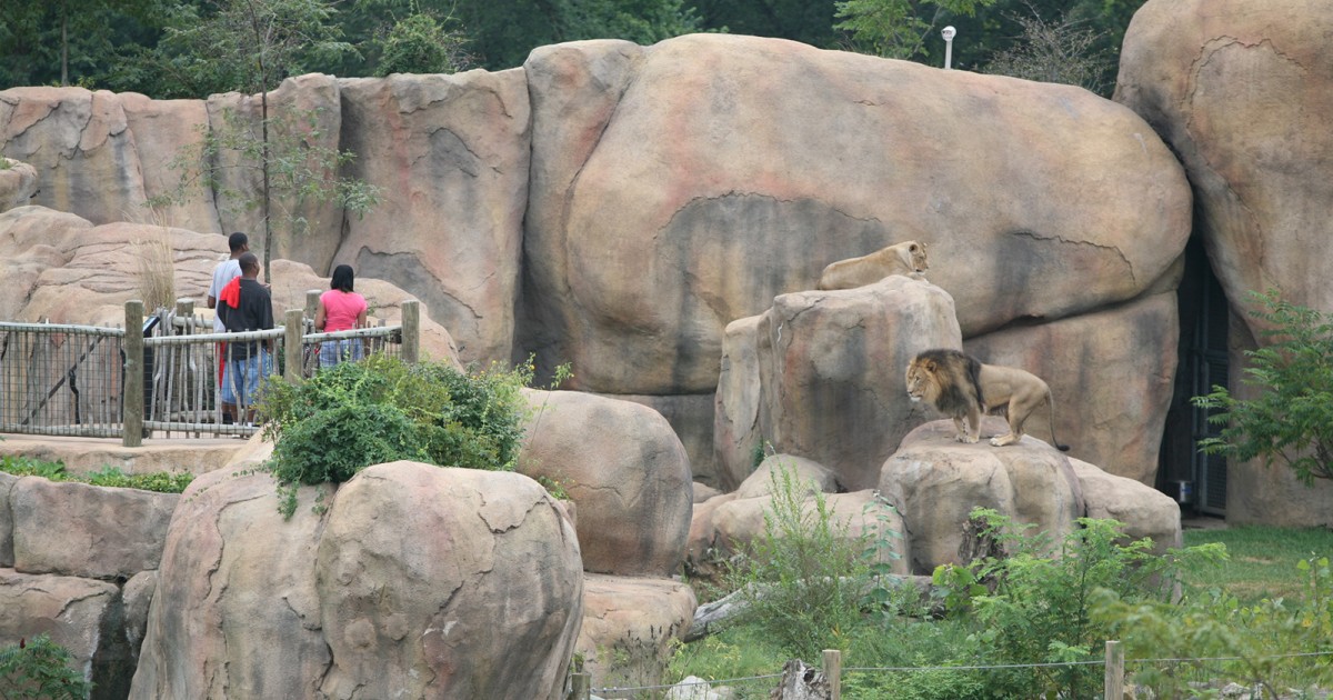 Peoria Zoo | Africa