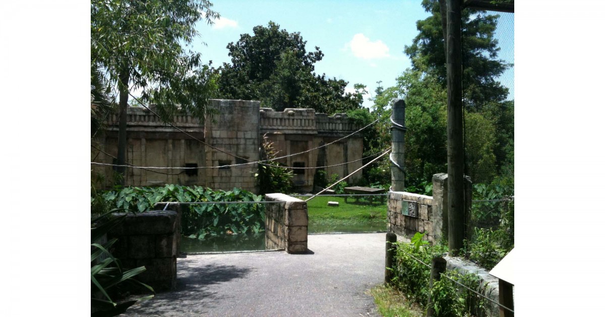 Audubon Zoo | Jaguar Jungle