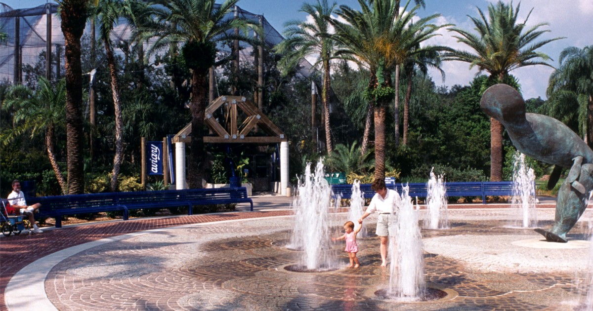 Tampa's Lowry Zoo | Entry