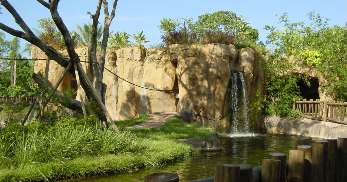 Palm Beach Zoo | Tropics of the Americas