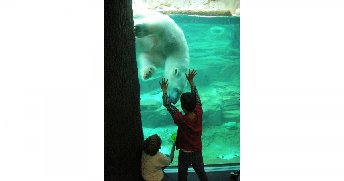 Memphis Zoo | Northwest Passage