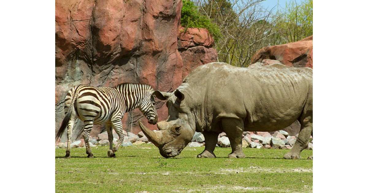 Virginia Zoo | Okavanga Delta