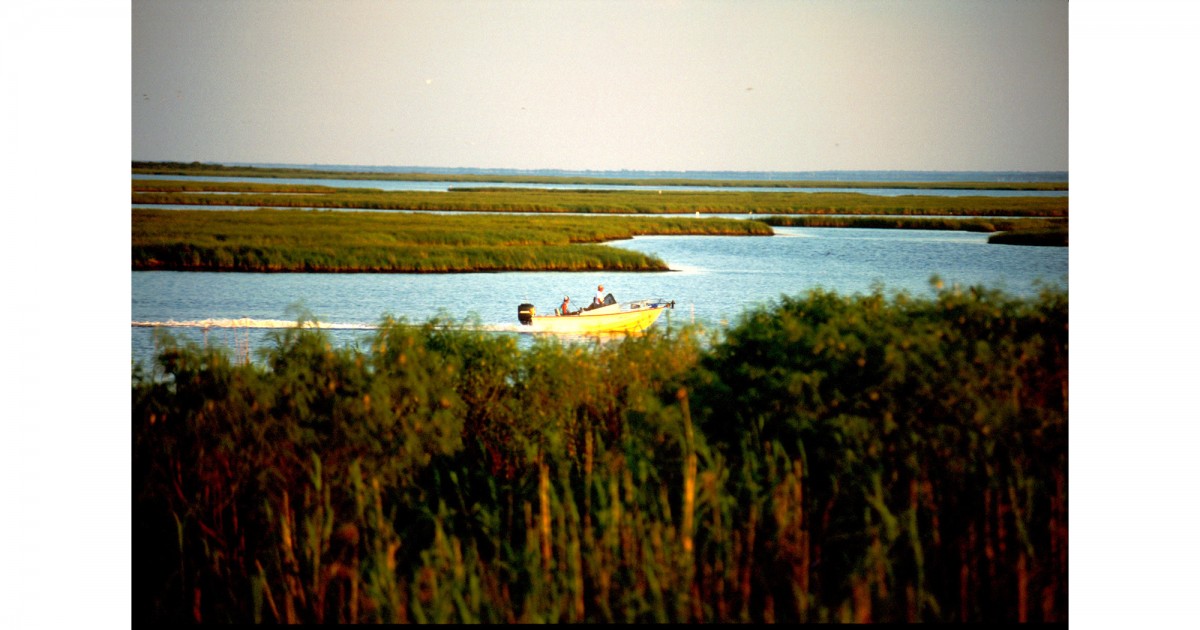 Bayou Sauvage NWR