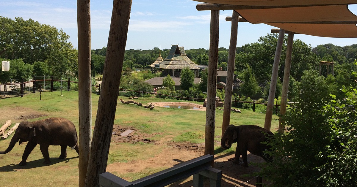 Featured: Oklahoma City Zoo