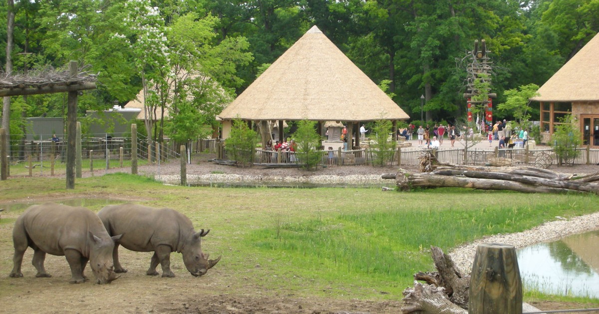 Peoria Zoo Camp