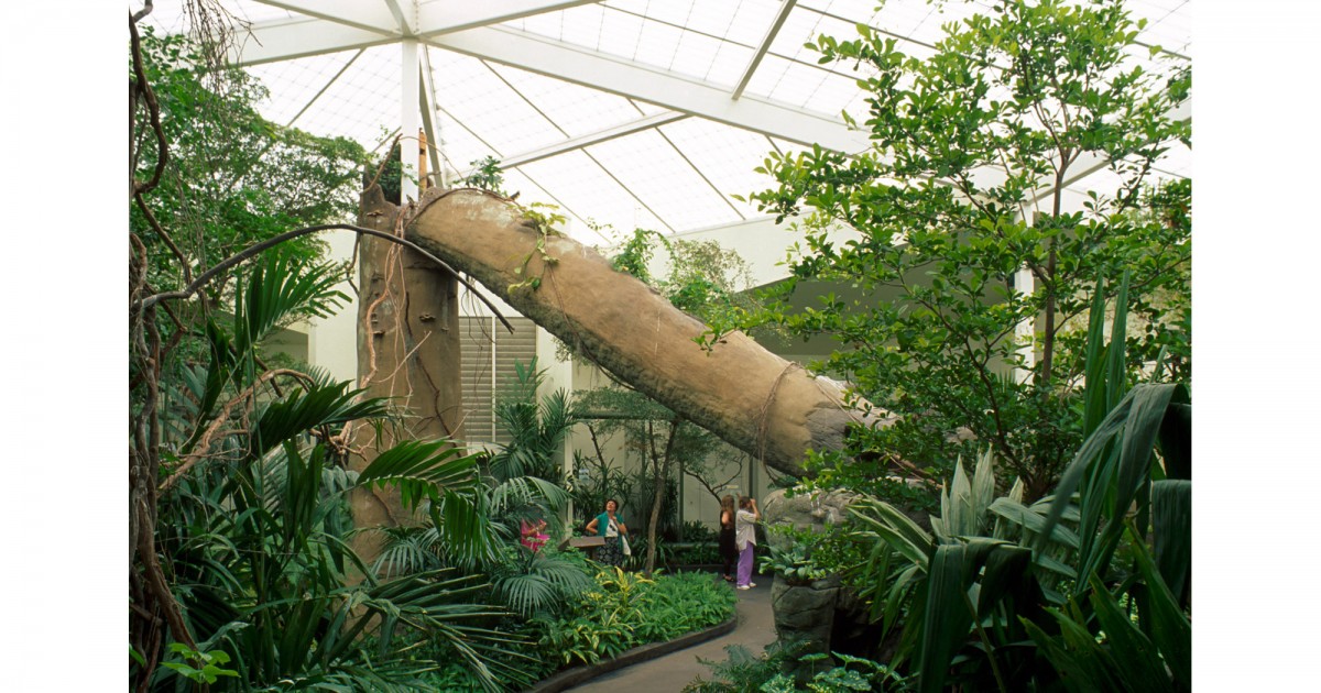 Audubon Zoo & Aquarium | Tropical Bird