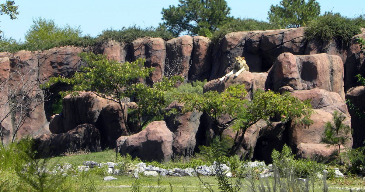 Virginia Zoo | Okavanga Delta