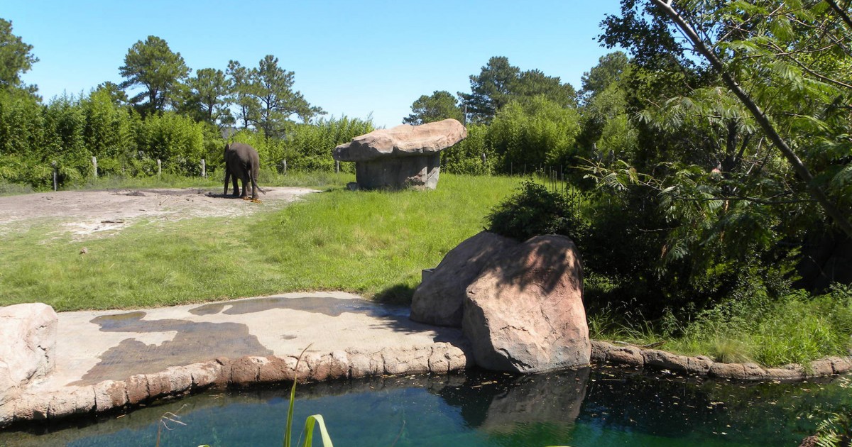 Virginia Zoo | Okavanga Delta