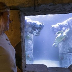 Audubon Aquarium | Great Mayan Reef