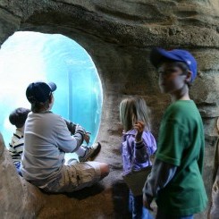 Memphis Zoo | Northwest Passage