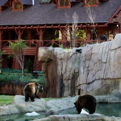 Memphis Zoo | Teton Trek