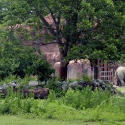 Virginia Zoo | Okavanga Delta