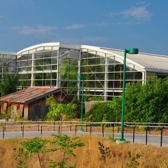 Mesker Zoo | Amazonia