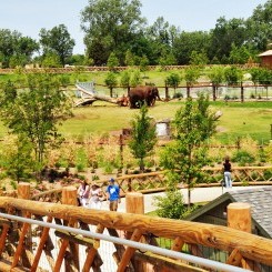 Oklahoma City Zoo | Expedition Asia