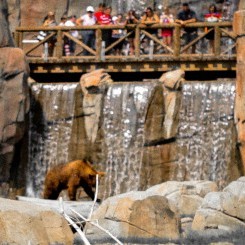 Memphis Zoo | Teton Trek