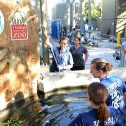 Tampa's Lowry Zoo | Florida Biome