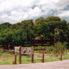 Cameron Park Zoo