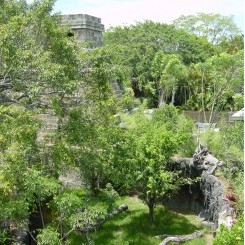 Palm Beach Zoo | Tropics of the Americas