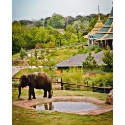Oklahoma City Zoo | Expedition Asia