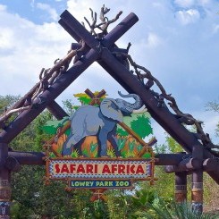 Tampa's Lowry Zoo | Safari Africa