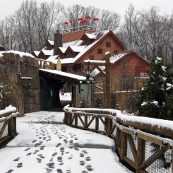 Memphis Zoo | Teton Trek