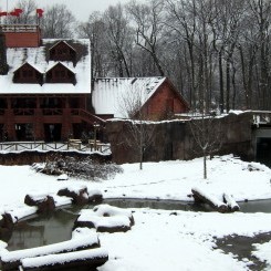 Memphis Zoo | Teton Trek