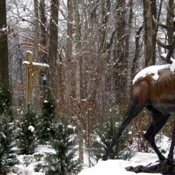 Memphis Zoo | Teton Trek