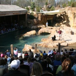 Memphis Zoo | Northwest Passage