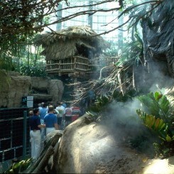 Audubon Aquarium | Amazon Rainforest