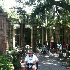 Audubon Zoo | Jaguar Jungle