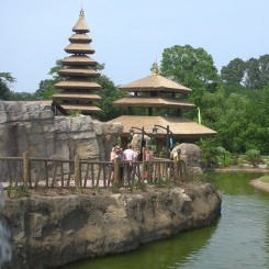 Virginia Zoo | Trail of the Tiger