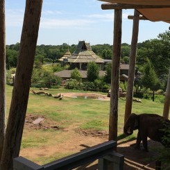 Featured: Oklahoma City Zoo