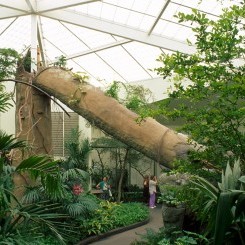 Audubon Zoo & Aquarium | Tropical Bird