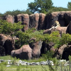 Virginia Zoo | Okavanga Delta