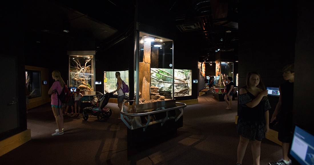 Torre Design Consortium, LTD.