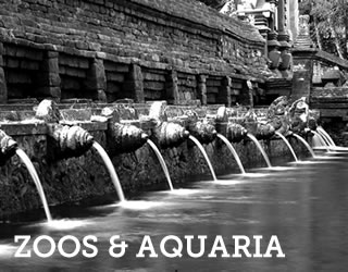 Zoos & Aquaria